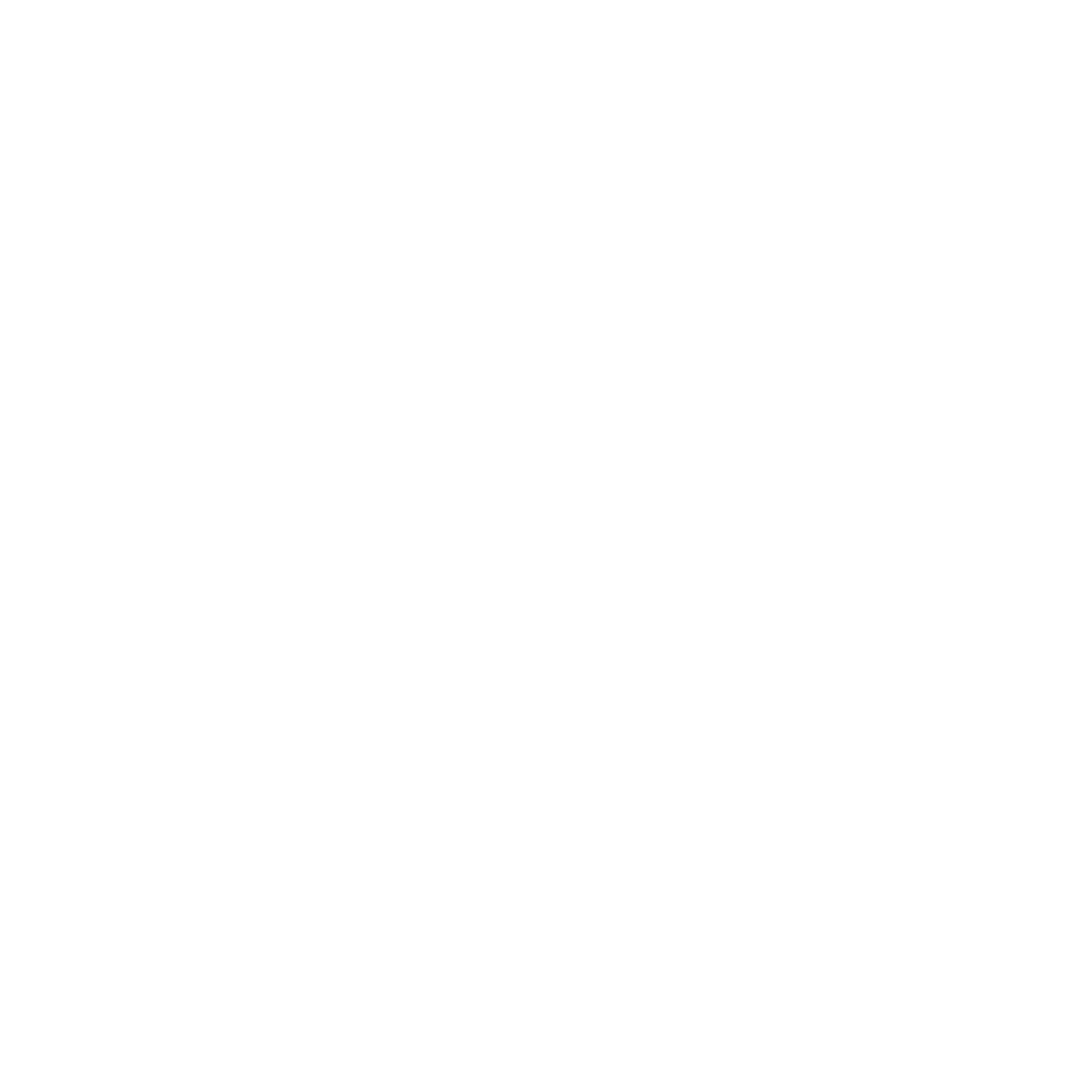 Netelek company logo